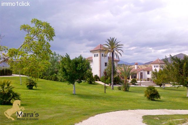 beauftiul Hacienda Hotel with equestrian centre for sale in Alicante, Costa Blanca, Valencia