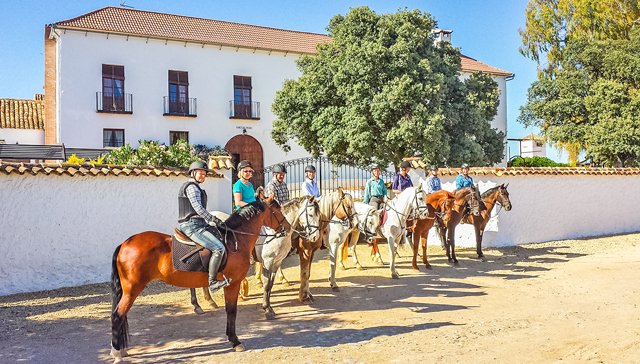 Andalucia, Antequera - Cortijo finca con habitaciónes y centro equestre