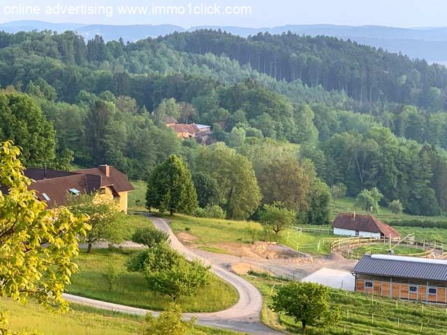 Haushälfte Österreich Steiermark zu verkaufen