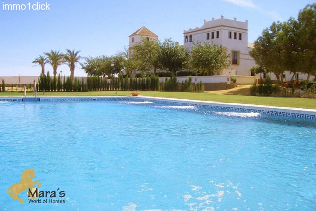 Cortijo Hotel Sevilla Andalusien im Verkauf - Pool und Garten