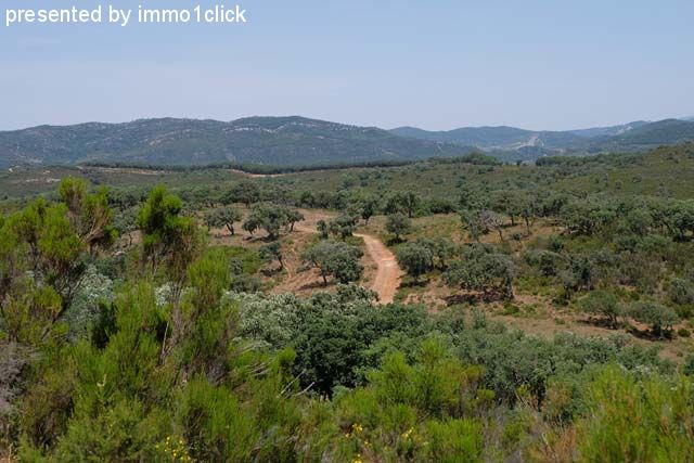 Hunting Estate, Spain, Andalusia, Sotogrande for sale