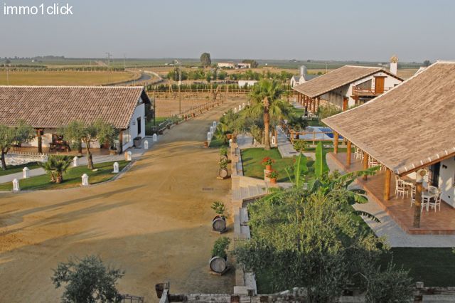 horseproperty, riding hotel, El Rocio, Coto Donana, Sevilla, Andalusia for sale