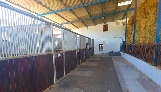 Andalusia, Antequera - Cortijo, horseproperty with guestrooms and riding centre for sale
