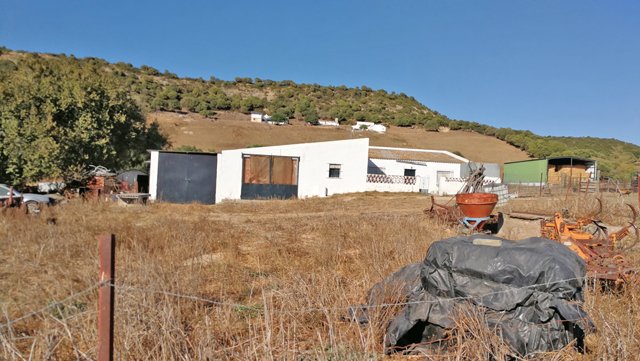 Andalusia, Vejer de la Frontera - Finca, countryproperty to renovate for sale