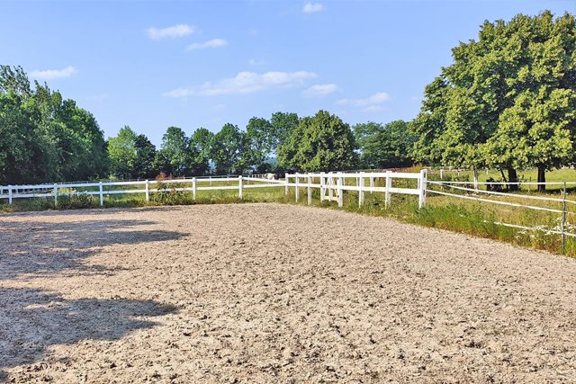 2323 Netherlands, Ven-Zelderheide - exclusive horseproperty for sale