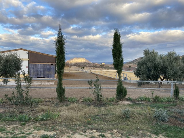 2342 Spain, Murcia, Campo de Ricote - countryproperty with 2 houses and horsestables for sale