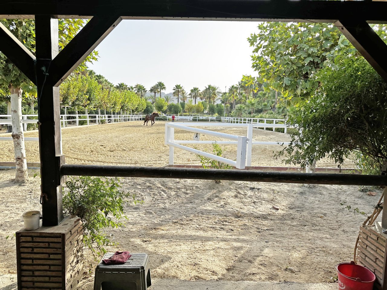 2344 Andalusia, Malaga, riding centre, stables for sale