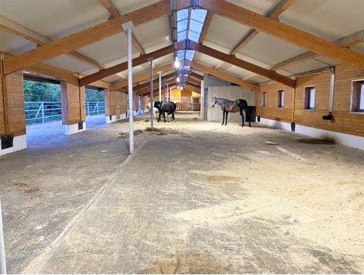 2348BN Austria, Vienna, equestrian property, riding center, for sale