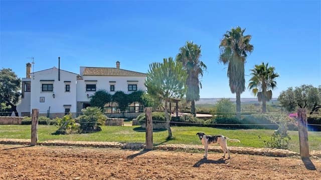 2355 andalusia, huelva, sevilla, countryproperty, finca, horses, bulls for sale