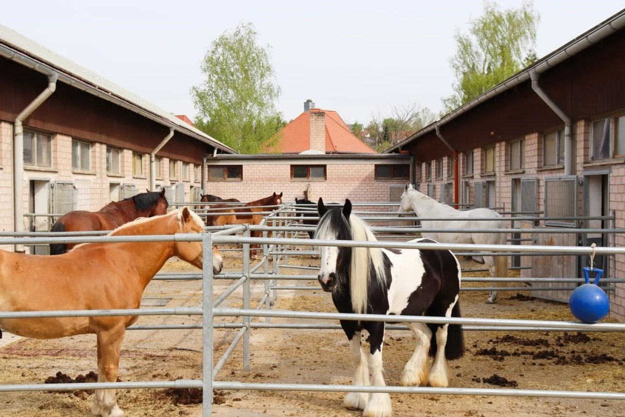 2349MK Germany, Bavaria, Ansbach, riding center for sale