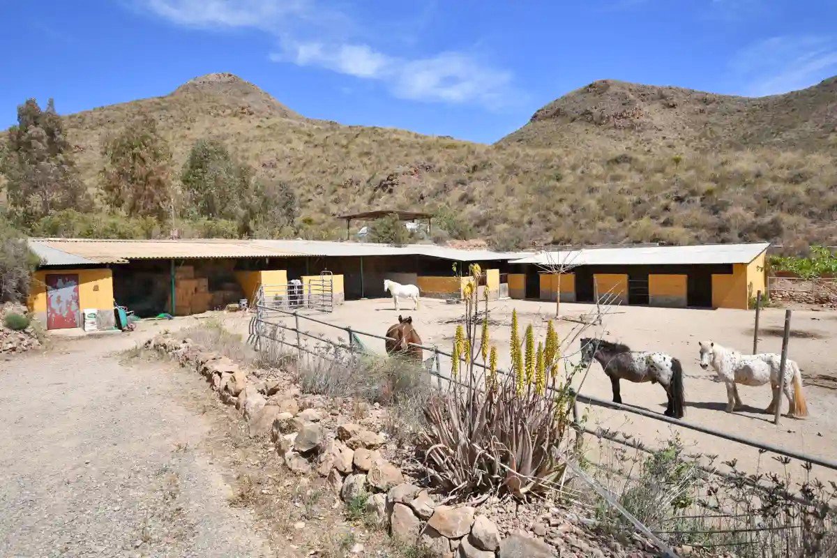 2365SP Murcia, Aguilas, Los Arejos - Finca with guest house and stables for sale