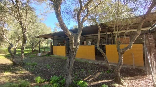 2404ab andalusia, costa de la luz, benalup - countryhouse with 2 barns, stables for sale