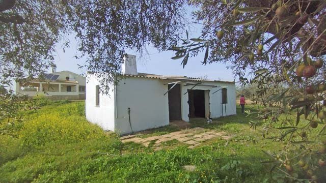 2402 andalusia, huelva, la palma del condado, house with pool for sale