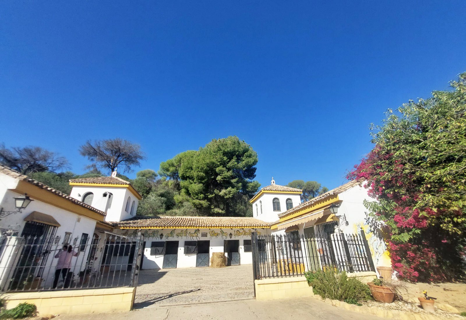 2409ER Andalusia, Alcala de Guadaira - Finca with stables and riding hall for sale