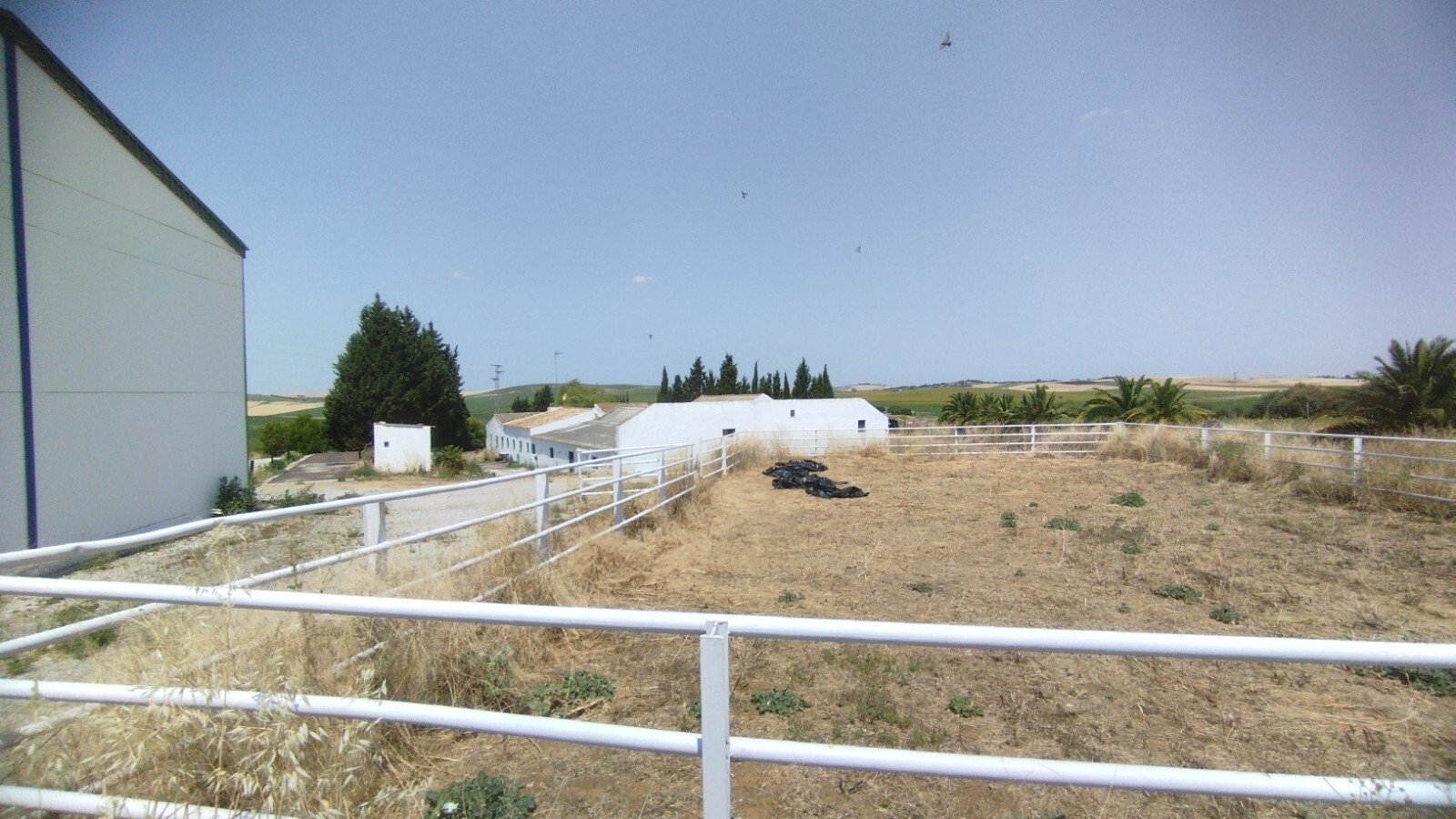 Ref2410 Spain, Andalusia, province Cadiz, Bornos - countryproperty with large lands for sale
