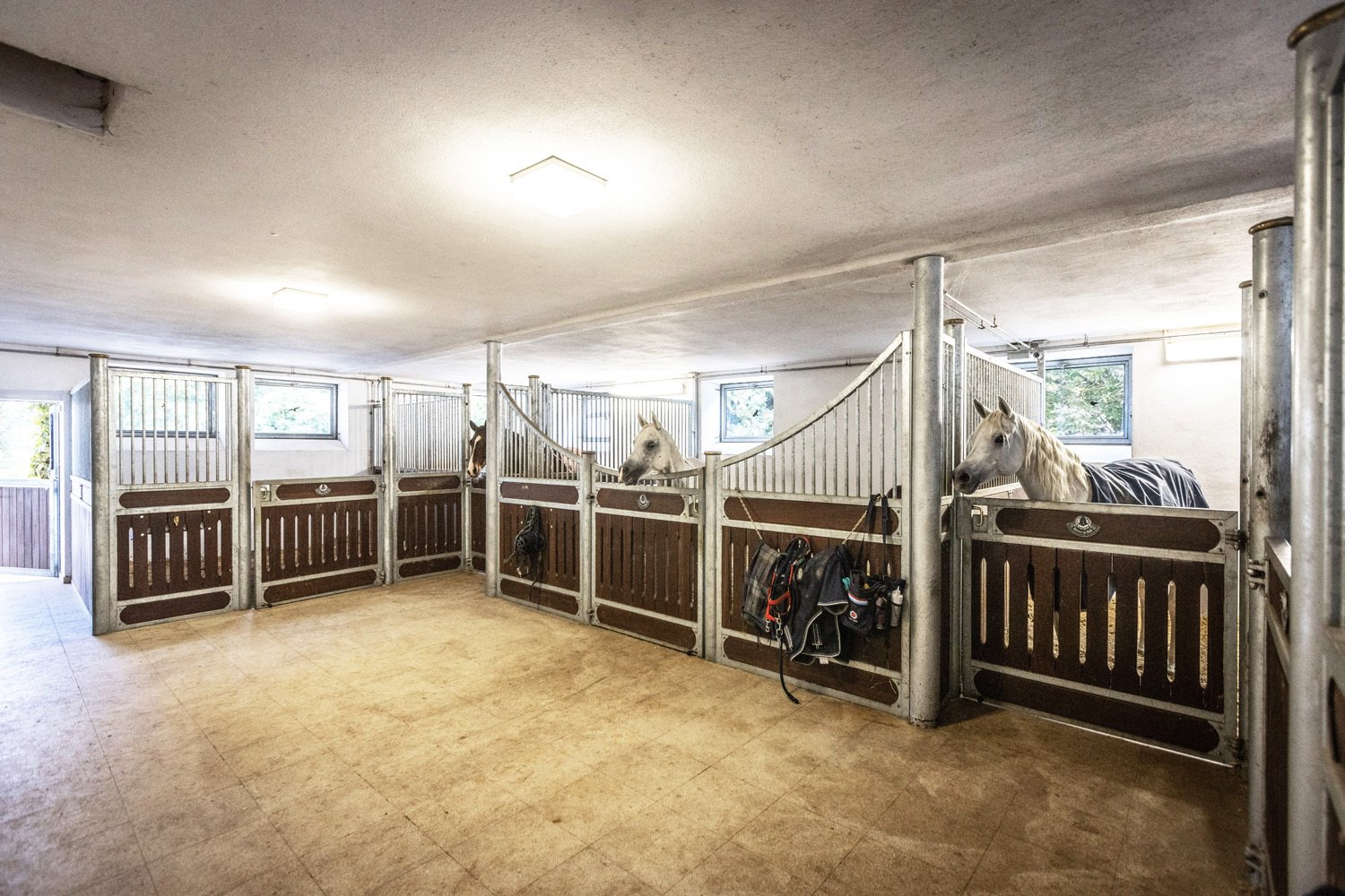 2422 germany, bavaria, luxury countryhouse with stables for sale