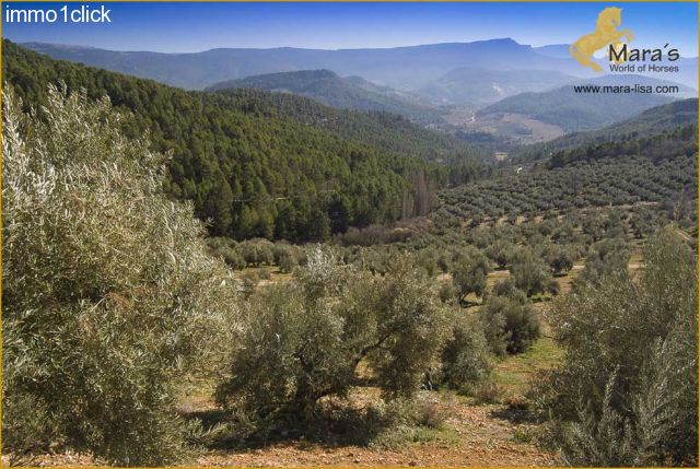 country hunting estate for sale in Andalusia, Jaen