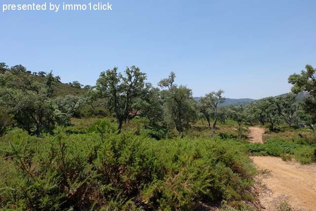 Hunting Estate, Spain, Andalusia for sale