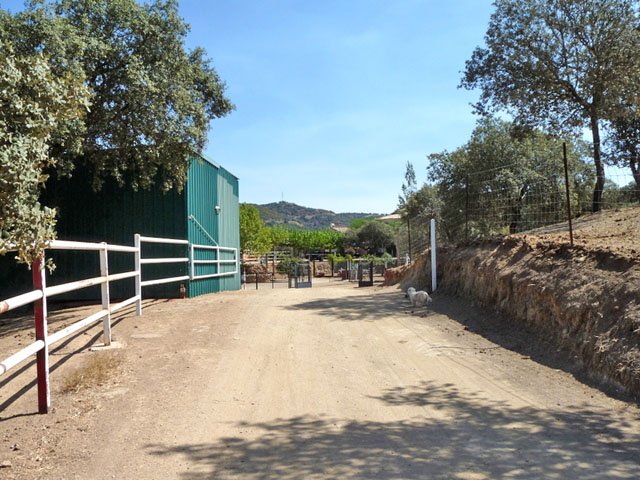 2215 Maras World of Horses, Andalucia, Cordoba, Espiel, Finca en venta