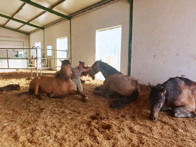 2342 Murcia, Campo de Ricote - finca con 2 casa y cuadras para caballos para vender