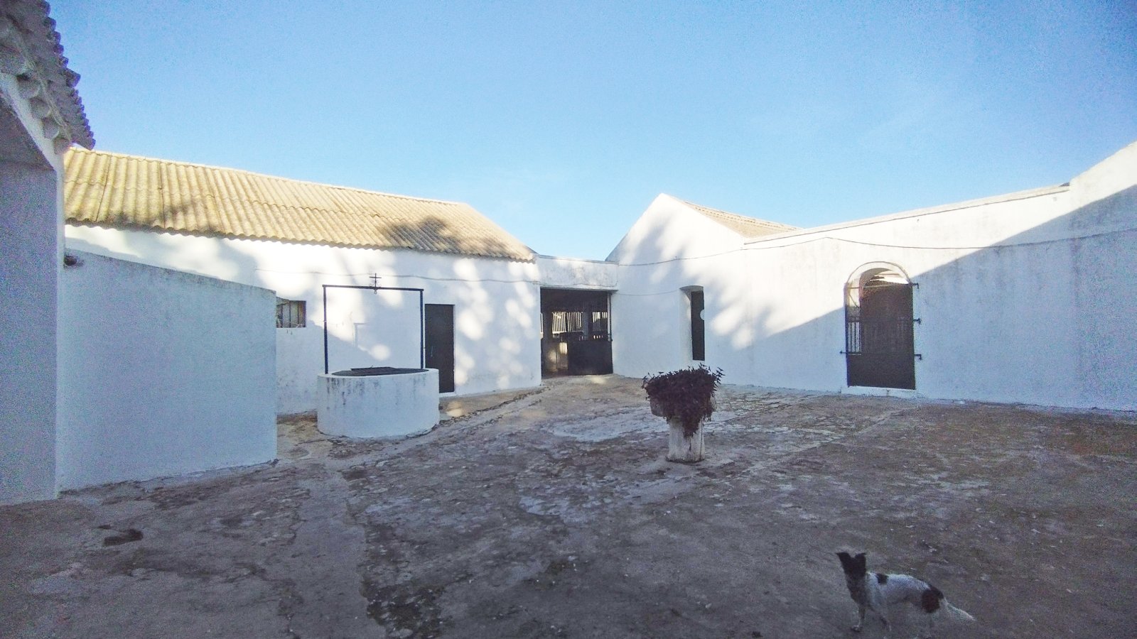 Ref2410 Andalucia, provincia Cadiz, Bornos - finca con mucho terreno en venta